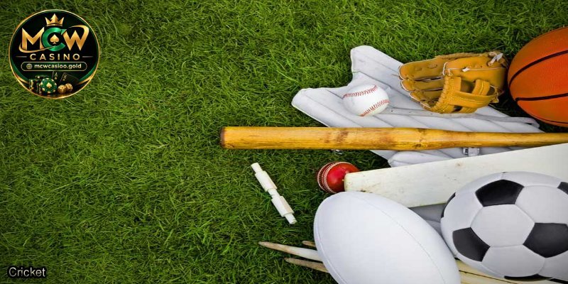 Cricket.